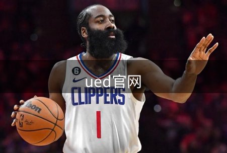 网站概况